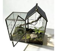 Ready-to-Use Glass Terrarium with Vents, 8.66"x4.72"x8.46" House-Shaped Habitat for Jumping Spider,Praying Mantis,Snails,or Succulent Plants - Home Garden Tabletop Decor Enclosure (Dark Gunmetal)