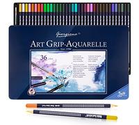 Reaeonat Watercolour Pencils, 36 Colouring Pencils Set in Tin Box with Fine Brush Water Coloured Pencils for Adult, Artist and Beginners Drawing Sketching Painting Coloring