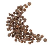 Real Acorn Caps Rustic Coffee Tops 200pcs for Crafts and Decor