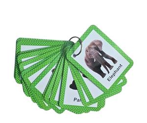 Real Animal Flashcards for Toddlers | 24 Educational Flash Cards with Ring | Wipeable, Tear-Proof, Laminated Learning Cards | Preschool Flashcards with Real Images of Animals