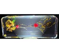 Real Asian Hornet on Brazil Star Flower Stick in Large 4.3" Crystal Clear Lucite Resin Garden Scenery Diorama Decor Specimen Preserved Insect Taxidermy Collection for Biology Science Education Display