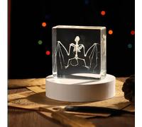 Real Bat Skeleton Specimen in Resin for Science Classroom Science Education Great Gift for Fans of Taxidermy, Animal Skull, Biology, Oddities