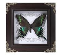 Real Butterfly Framed Home Decor,Taxidermy Shadow Box for Goth Dark Academia Wall Art Decor,Gothic Furniture Gifts for Victorian Whimsigoth Fantasy Moody Witchy Room Bedroom Decor
