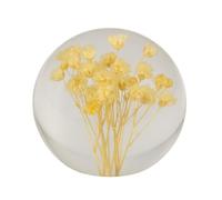 Real Dandelion in Glass Crystal Night Light Preserved Flower Ball Lamp Warm White or Color Changing LED Base Eternal Decoration Unique Home Decor Gift (Primary Color A, Colored Light Base)