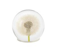 Real Dandelion in Glass Crystal Night Light Preserved Flower Ball Lamp Warm White or Color Changing LED Base Eternal Decoration Unique Home Decor Gift (Dandelion, Warm Light basWarm Light basee)