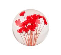 Real Dandelion in Glass Crystal Night Light Preserved Flower Ball Lamp Warm White or Color Changing LED Base Eternal Decoration Unique Home Decor Gift (Red B, Colored Light Base)
