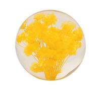 Real Dandelion in Glass Crystal Night Light Preserved Flower Ball Lamp Warm White or Color Changing LED Base Eternal Decoration Unique Home Decor Gift (Yellow A, Warm Light basWarm Light basee)