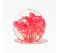 Real Dandelion in Glass Crystal Night Light Preserved Flower Ball Lamp Warm White or Color Changing LED Base Eternal Decoration Unique Home Decor Gift (Pink A, Colored Light Base)