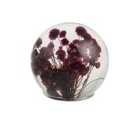Real Dandelion in Glass Crystal Night Light Preserved Flower Ball Lamp Warm White or Color Changing LED Base Eternal Decoration Unique Home Decor Gift (Purple A, Colored Light Base)