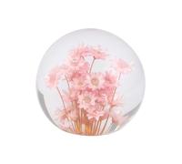 Real Dandelion in Glass Crystal Night Light Preserved Flower Ball Lamp Warm White or Color Changing LED Base Eternal Decoration Unique Home Decor Gift (Pink B, Colored Light Base)