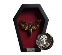 Real Death Head Moth White Skull Acherontia Gothic Witchy Spooky Halloween Butterfly Entomology Shadow Box Insect Oddity Curiosities Taxidermy Wall Art Home Decor Living Gallery CF18-01-DO-MT