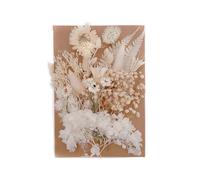 Real Dried Flowers - Natural Pressed Flowers | Pressed Flower Leaves Petals | Decor with Tweezer Dried Florals, Petals for Epoxy Resin Crafts, Decorations, Matching 10 Colors