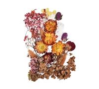 Real Dried Flowers - Natural Pressed Flowers | Pressed Flower Leaves Petals | Decor with Tweezer Dried Florals, Petals for Epoxy Resin Crafts, Decorations, Matching 10 Colors