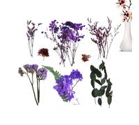 Real Dried Flowers | Preserved Natural Dried Wild Flowers | Home Decoration for Christmas Spring Fall Scrapbook Bridal Jewelry Making Market Cake Table