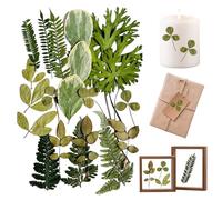Real Dried Pressed Leaves, 21P CSNatural Dried Leaf, Natural Dry Leaves for DIY Jewelry Candle Soap Vase Making Nail Card Scrapbook Art Craft Floral Decors(7 Styles)