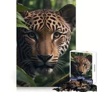 Real Face Jaguar 1000 Piece Jigsaw Puzzle for Teenagers Fine Logic Toy Relaxing Fun Neat Edge Wall Art Decor (50x75cm)