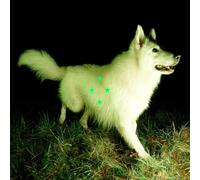 Real Farmer - Compare What☐S There [VINYL]