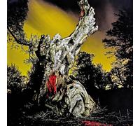 Real Farmer - Two Wrongs Don't Make a Right 2LP Vinyl 12" Album - Pre-sale