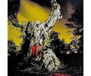 Real Farmer - Two Wrongs Don't Make a Right 2LP Vinyl 12" Album - Pre-sale