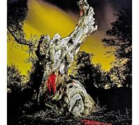 Real Farmer - Two Wrongs Don't Make A Right [VINYL]