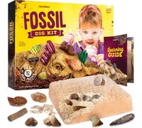 Real Fossil Dig Kit for Kids - Mega Science Kits for Boys & Girls Age 8-12 - Birthday Easter Gift Ideas for 8, 9, 10, 11, 12 Year Old Boy or Girl - F