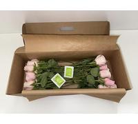 Real Fresh Light Pink Stem Roses - Hand-Cut Long Stem Fresh Flowers for Bouquets - Beautiful Bright Roses for Vases, Weddings, Anniversaries, Birthdays, All Occasions (30, 50cm Stems)