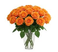 Real Fresh Orange Stem Roses - Hand-Cut Long Stem Fresh Flowers for Bouquets - Beautiful Bright Roses for Vases, Weddings, Anniversaries, Birthdays, All Occasions (15, 50cm Stems)