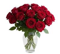Real Fresh Red Stem Roses - Hand-Cut Long Stem Fresh Flowers for Bouquets - Beautiful Bright Roses for Vases, Weddings, Anniversaries, Birthdays, All Occasions (20, 50cm Stems)