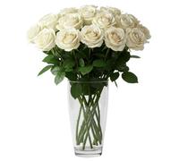Real Fresh White Stem Roses - Hand-Cut Long Stem Fresh Flowers for Bouquets - Beautiful Bright Roses for Vases, Weddings, Anniversaries, Birthdays, All Occasions (20, 50cm Stems)
