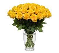 Real Fresh Yellow Stem Roses - Hand-Cut Long Stem Fresh Flowers for Bouquets - Beautiful Bright Roses for Vases, Weddings, Anniversaries, Birthdays, All Occasions (10, 50cm Stems)