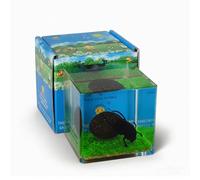 Real Insect in Resin Specimen,Interesting Dung Beetle Pushes Dung Ball Micro-Landscape,Insect Taxidermy Crafts Collection Paperweight(Dung Beetle)