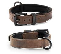 Real Leather Dog Collar with Neoprene Layer - Padded and Robust Leather Collar for Small and Large Dogs - Premium Craig Collar (S (31.0-40.0 cm)