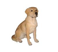 Real Life Sitting Golden Labrador | Highly Detailed Home or Garden Decoration | XRL-LABR-B