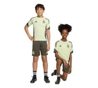 Real Madrid adidas Football Training Training Shorts Youth Grey
