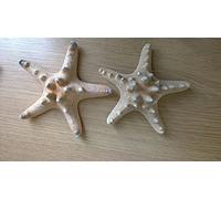 Real Natural Knobbly Starfish 4-6 inch Nautical Shabby Chic Decorative Item Pick Your Quantity (Pack of 2)