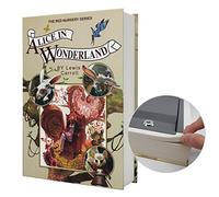 Real Paper Diversion Book Safe Storage Box, Dictionary Secret Safe with Code Lock/Key, flip Book Hidden Safe (Alice, M Key)
