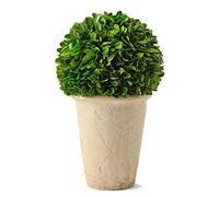 Real Preserved Boxwood Evergreen Potted Tree Globe Tree Topiary in Terracotta Planter, Home Hotel Office Decor Farmhouse (Boxwood Ball on Pot, 11 INCHES)