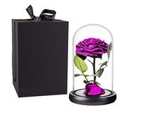 Real Preserved Roses in Glass Dome with Wooden Base, Purple, Never Withered, Romantic Gifts for Her, Valentine's Day, Mother's Day, Birthday (9 inch)