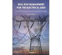 Real Risk Management For the Electrical Grid: Competent Risk Management Based on Authoritative Threat Assessments: Volume 1 (Real Risk Management Series)