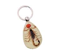 Real Scorpion Glow in the Dark Keyring Keychain with Lucky Red Seed - Pseudolychas ochraceus