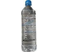 Real Shudh 1/2 litre Gangajal Ganga Water Ganga jal The Purest Holy Water Gangajal for Puja, Pure & Original Gangajal from Har ki Pauri Haridwar/Gangotri 500 ml