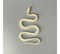 Real Snake Bones Specimen, Taxidermy Real Animals Skull Decor Authentic Animal Bone Specimens for Home, Specimen Collectibles Study, Special Gifts (11.8 inch / 13.7 inch) (13.7 inch)