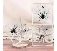 Real Spider Resin Specimens,Spiders Encased in Resin,Interesting Microscopic Scene of Spider Predation,Insect Taxidermy Crafts Collection Paperweight (Set of 3)