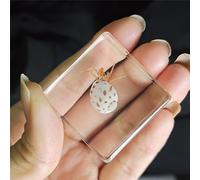 Real Spider Specimen in Resin - with Simulated Spider Web, Science Educational Bug Toys with Real Bugs in Resin Inside, for Science Education Desk Decor