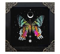 Real Sunset Butterfly Wooden Framed Insect Dried Shadow Box Taxidermy Astronomy Moon Star Universe Artwork Display Collection Hanging Wall Living Room Home Tabletop Office K14-29-AS5