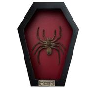 Real Tarantula Spider Coffin Shadow Box Preserved Arachnid Specimen Gothic Witchy Halloween Taxidermy Wall Decor Oddity Curiosity Gift for Entomology Lovers CF18-56-DO