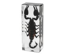 Real Taxidermy Bugs - Insects in Resin for School Lab Entomology Dissection, Bugs in Resin Gifts for Specimen Collector, Family Or Friends(Crystal scorpion)