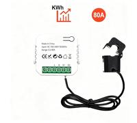 Real-Time Electricity Usage Monitor 1 Channel 80A Current Voltages Changer Clamp Power Consumption Monitor Enduring for Home Voice Control