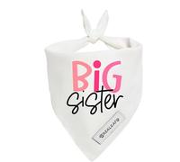 Realeaf Big Sister Dog Bandanas Pet Scarf for Small and Medium Female Dogs New Baby Announcement Pet Accessories Pregnancy Reveal Ideas (Big Sister, Small)