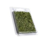 Realistic 5mm Wetland Grass Cluster Model for Authentic Miniature Landscape Scene Project and Educational Setting Simulation Vine